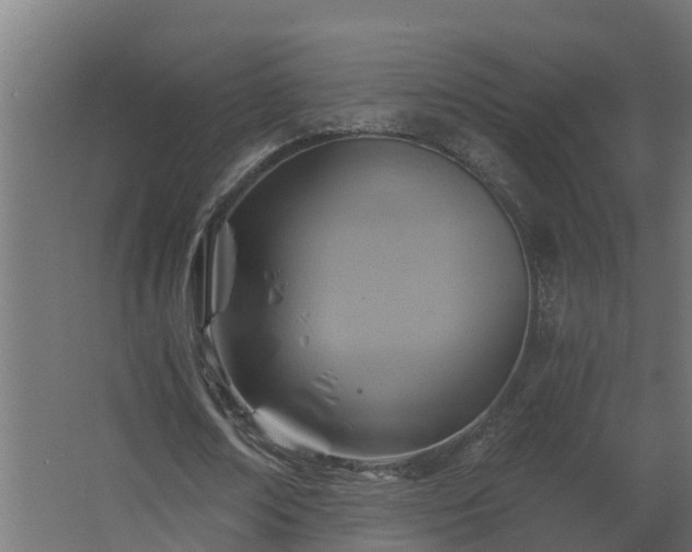 X0000068730674200605011000