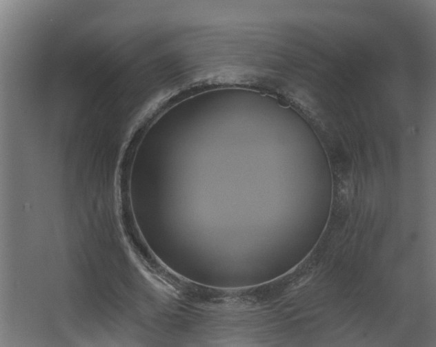 X0000068730678200605011000