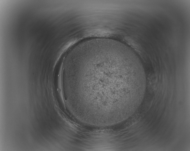 X0000068730679200605011000