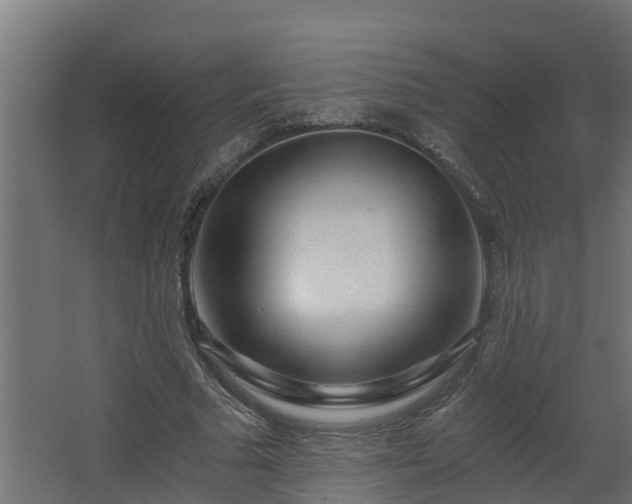 X0000068730681200605011000