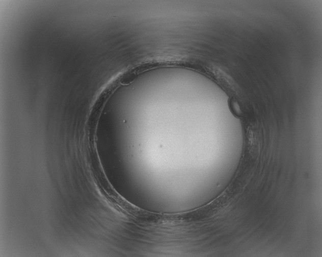 X0000068730684200605011000