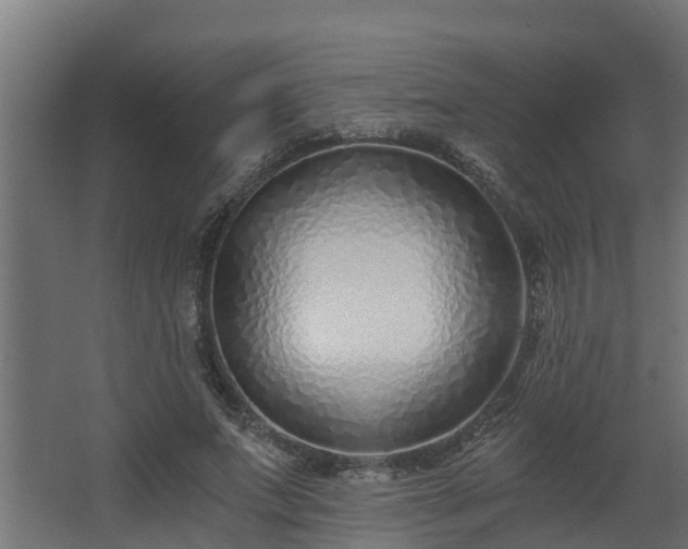 X0000068730687200605011000