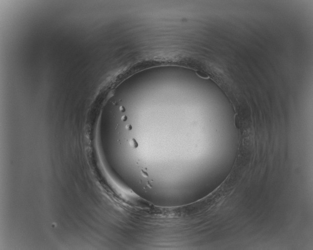 X0000068730688200605011000