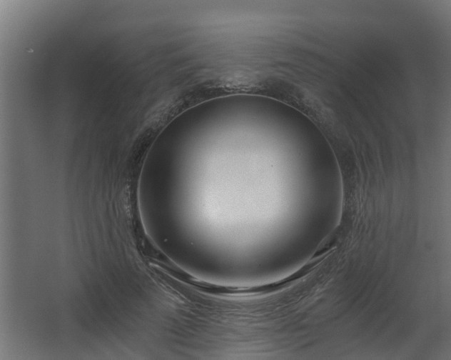 X0000068730689200605011000