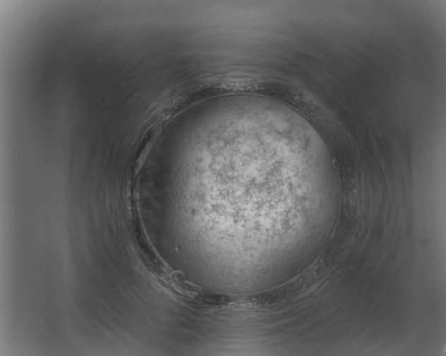 X0000068730696200605010959