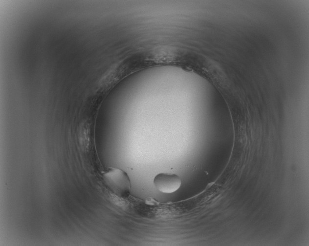 X0000068730697200605010959