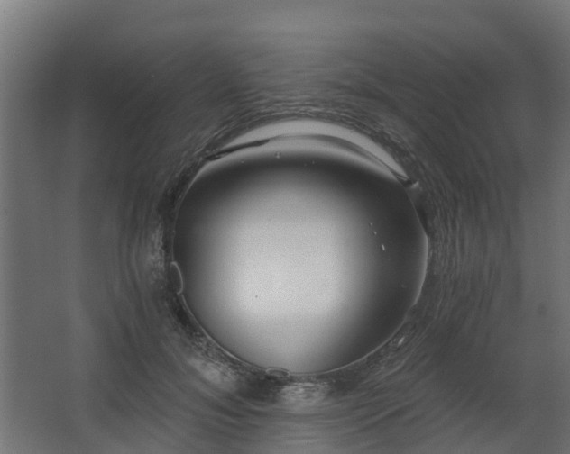 X0000068730700200605010959