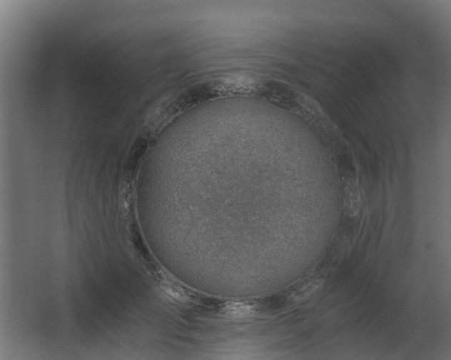 X0000068730701200605010959