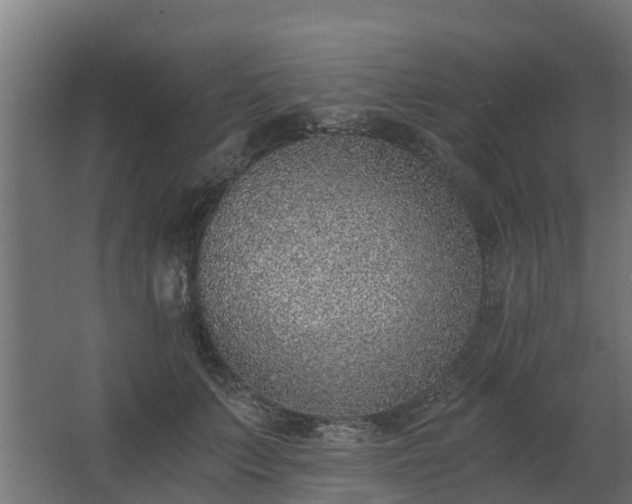 X0000068730703200605010959