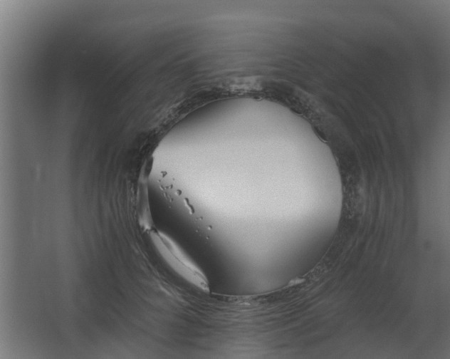 X0000068730704200605010959