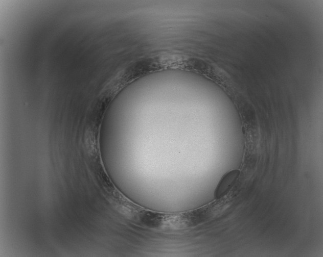 X0000068730705200605010959