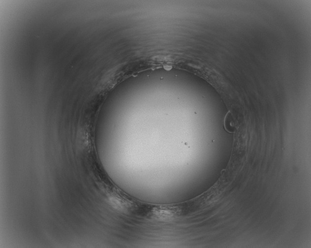 X0000068730706200605010959