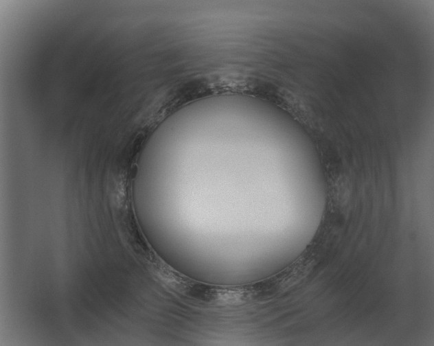 X0000068730709200605010959