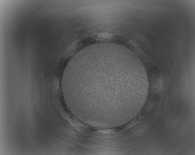 X0000068730711200605010959