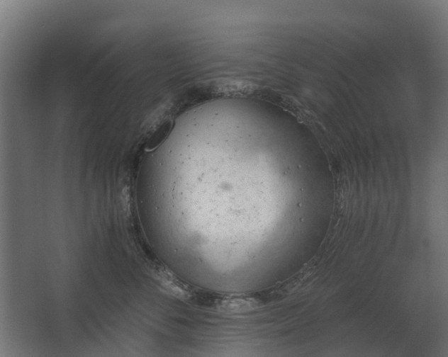 X0000068730716200605010959