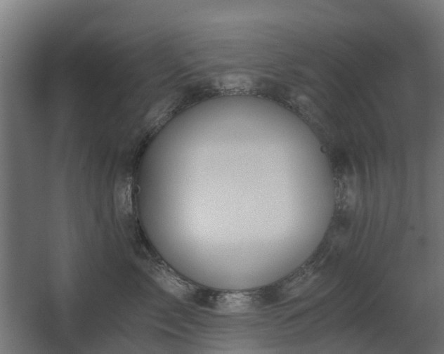 X0000068730717200605010959