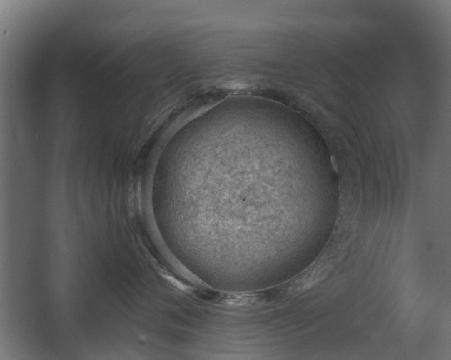 X0000068730720200605010959