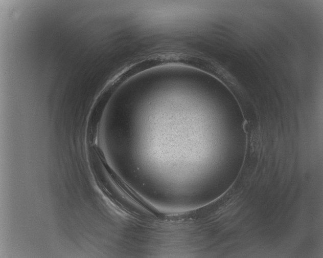 X0000068730722200605010958