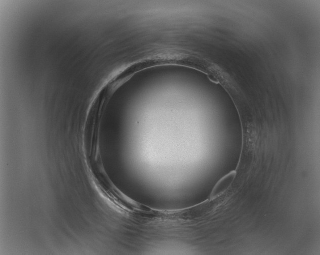 X0000068730726200605010958