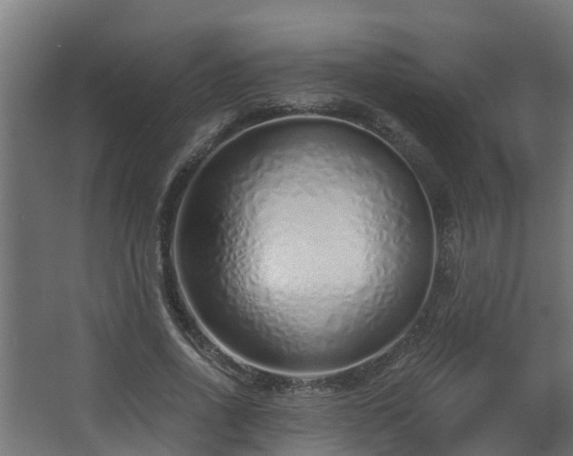 X0000068730734200605010958