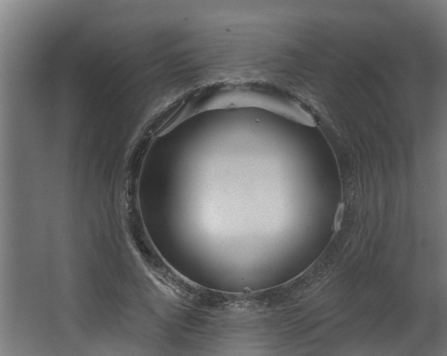 X0000068730736200605010959