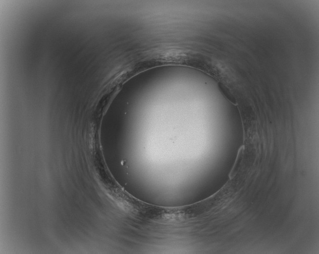 X0000068730744200605010959