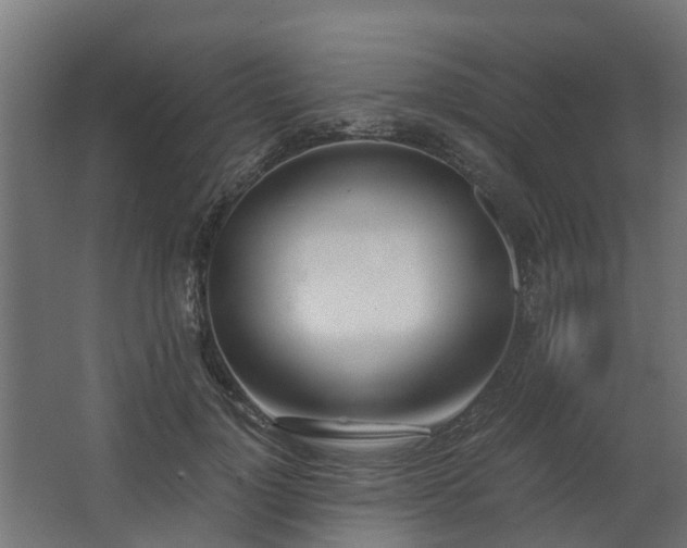 X0000068730748200605010959