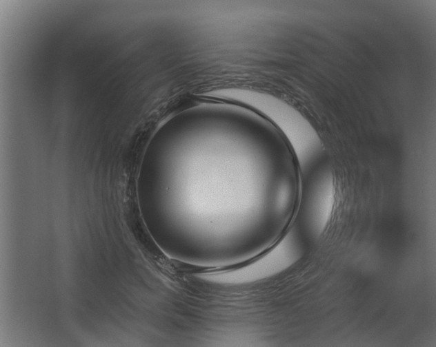 X0000068730750200605010959