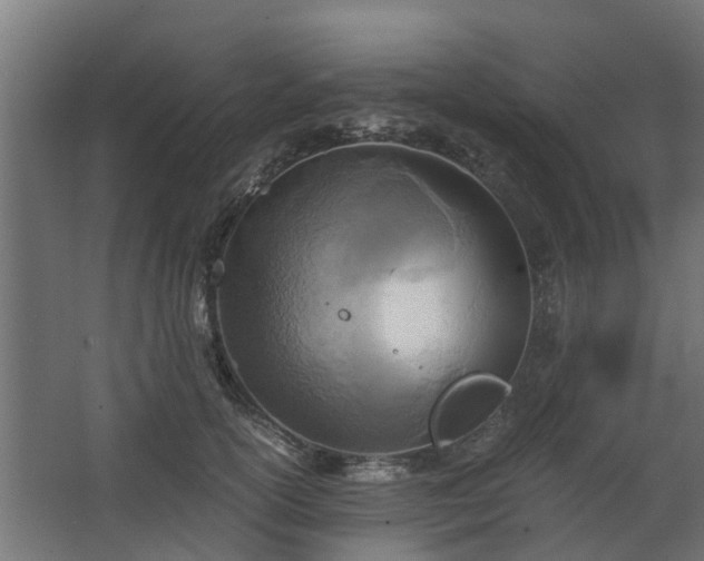 X0000068730754200605010959