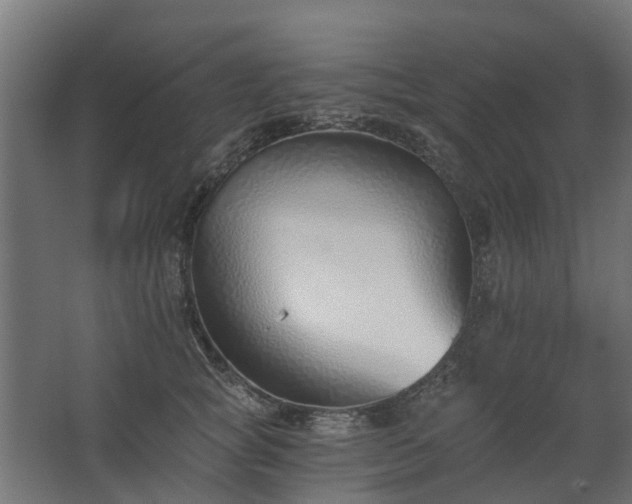 X0000068730757200605010959