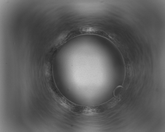 X0000068730760200605010959