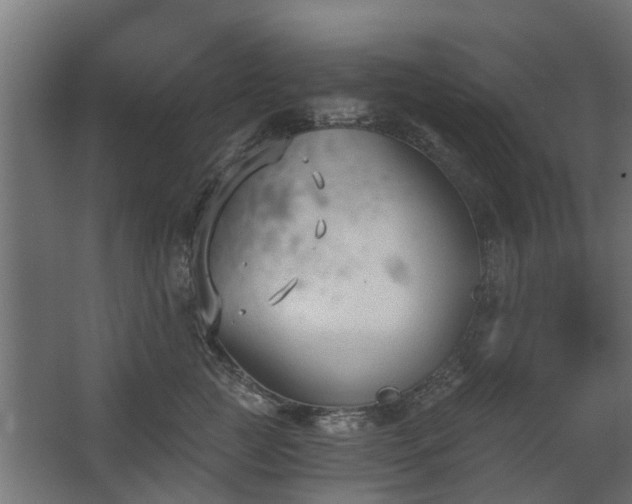 X0000068730761200605010959