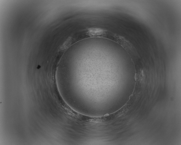 X0000068730763200605010959