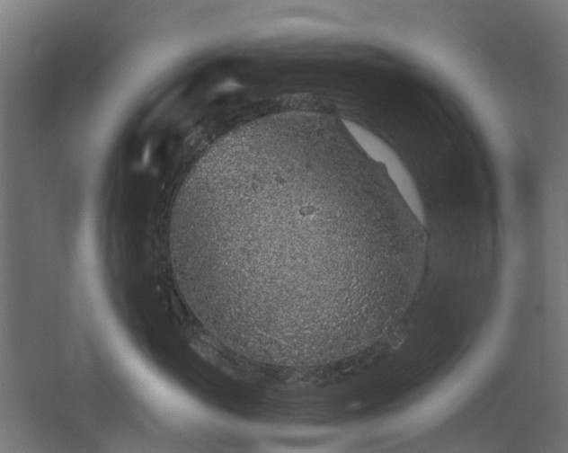 X0000068730765200605010959