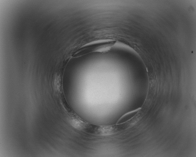 X0000068730767200605010959