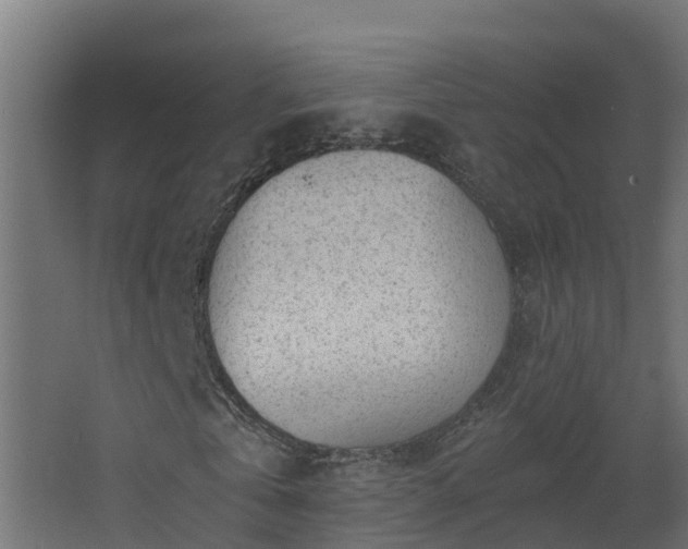 X0000068730769200605010958