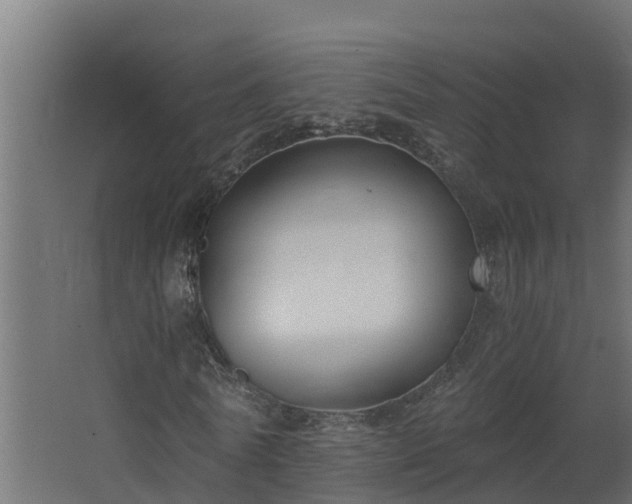 X0000068730770200605010958