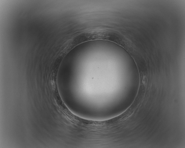 X0000068730771200605010958