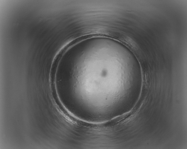 X0000068730780200605010958