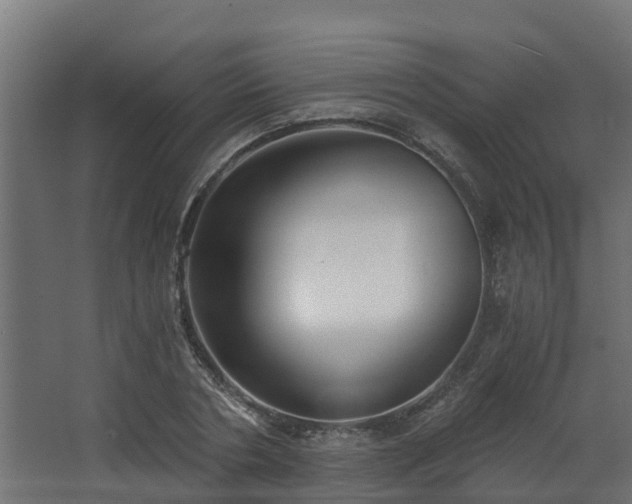 X0000068730786200605010958