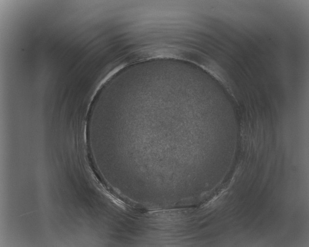 X0000068730790200605010958