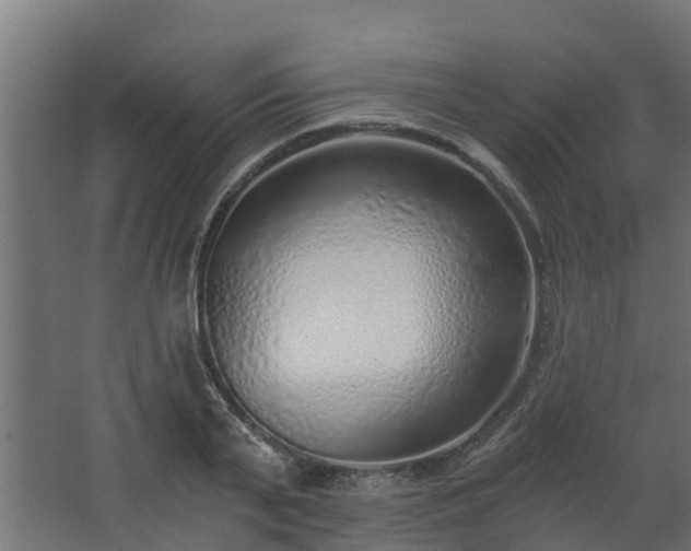 X0000068730791200605010958