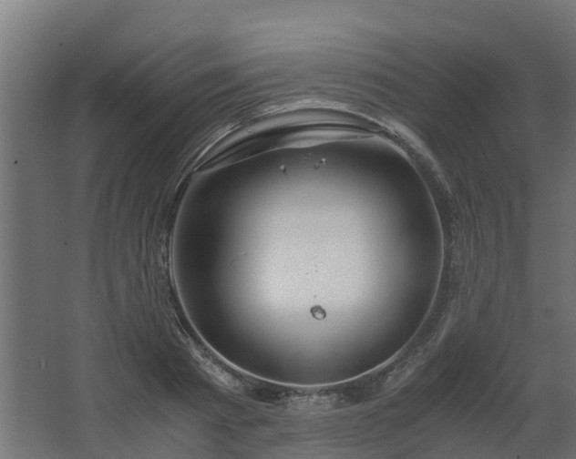 X0000068730793200605010958