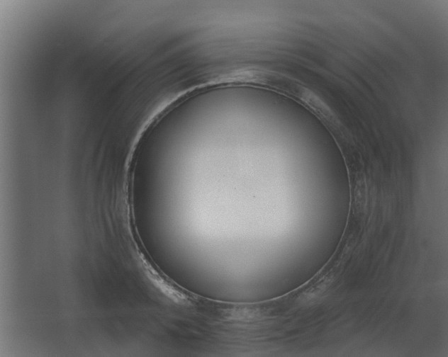 X0000068730800200605010958