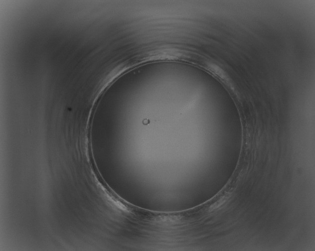 X0000068730802200605010958