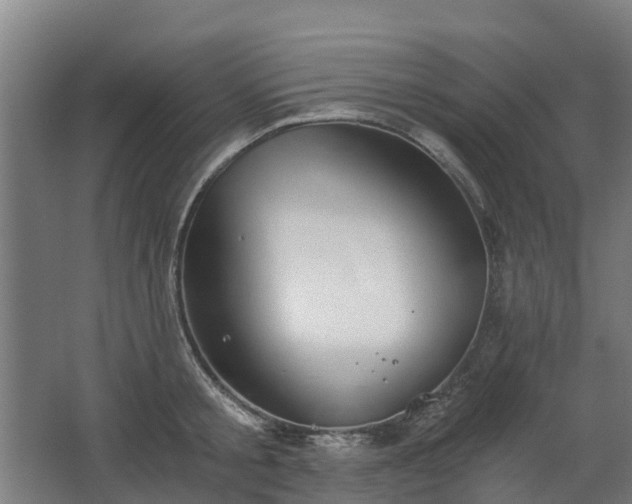 X0000068730805200605010958