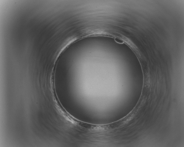 X0000068730806200605010958