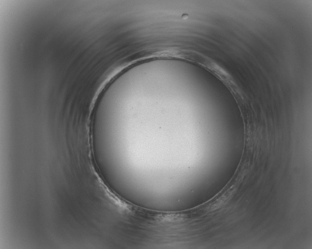 X0000068730808200605010958