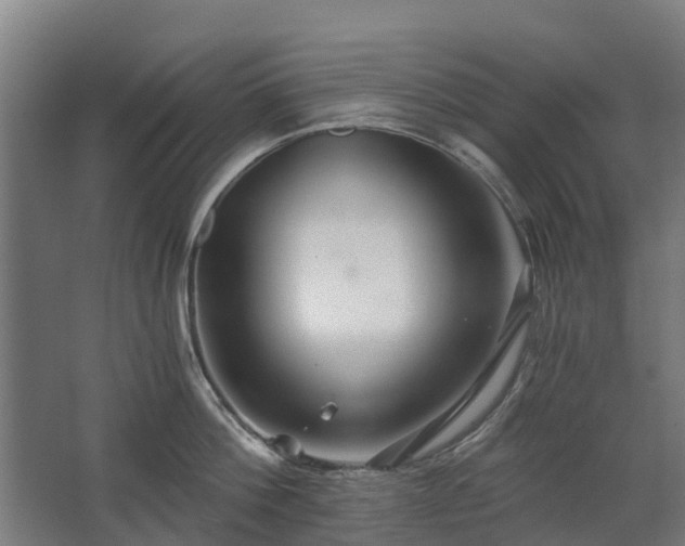 X0000068730812200605010958