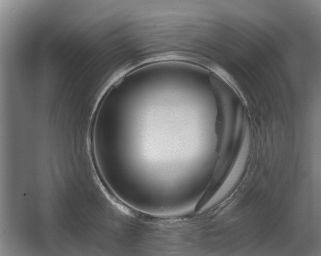 X0000068730813200605010957